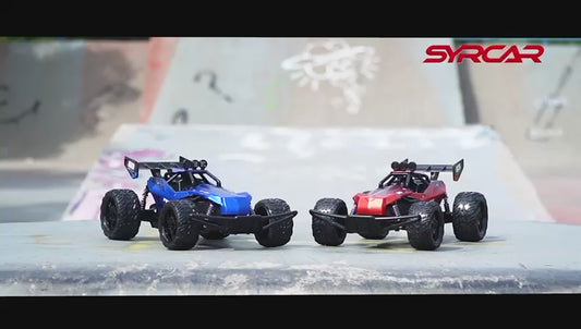 1:14 scale, 2.4 GHz remote control racing cars